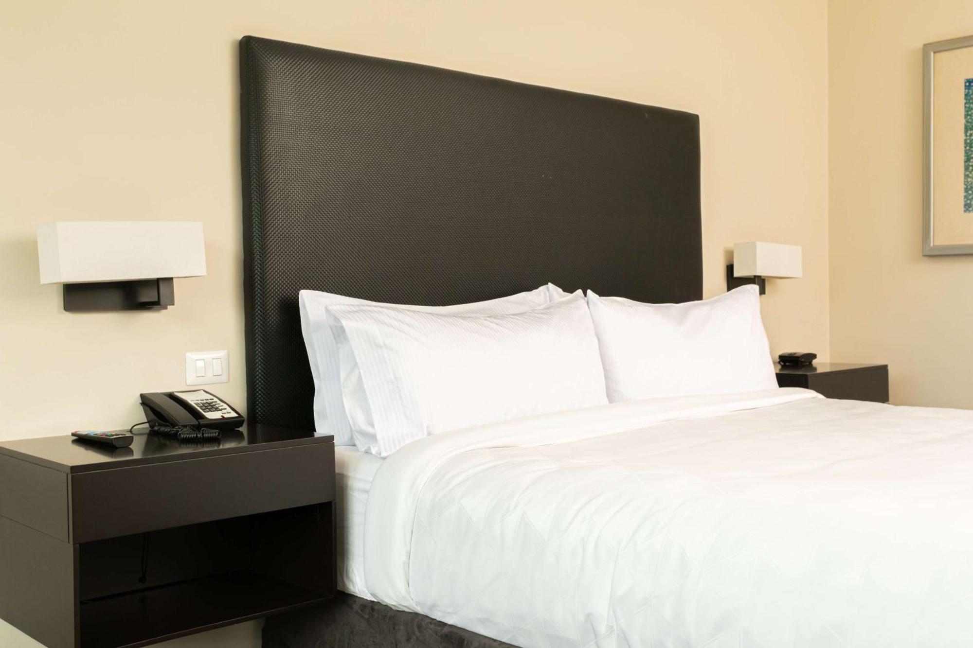 מלון Hilton סאן סלבדור מראה חיצוני תמונה